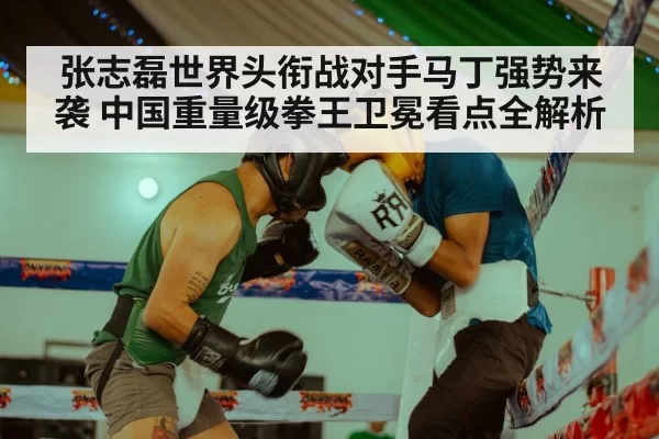 张志磊世界头衔战对手马丁强势来袭 中国重量级拳王卫冕看点全解析