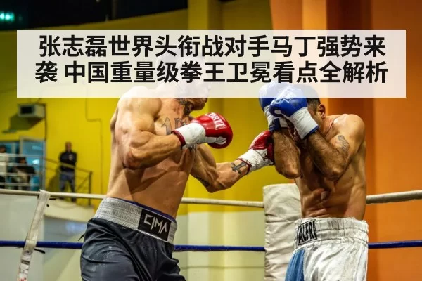 heavyweight boxing